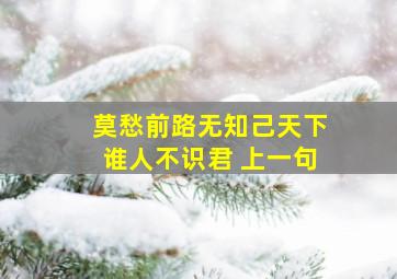 莫愁前路无知己天下谁人不识君 上一句